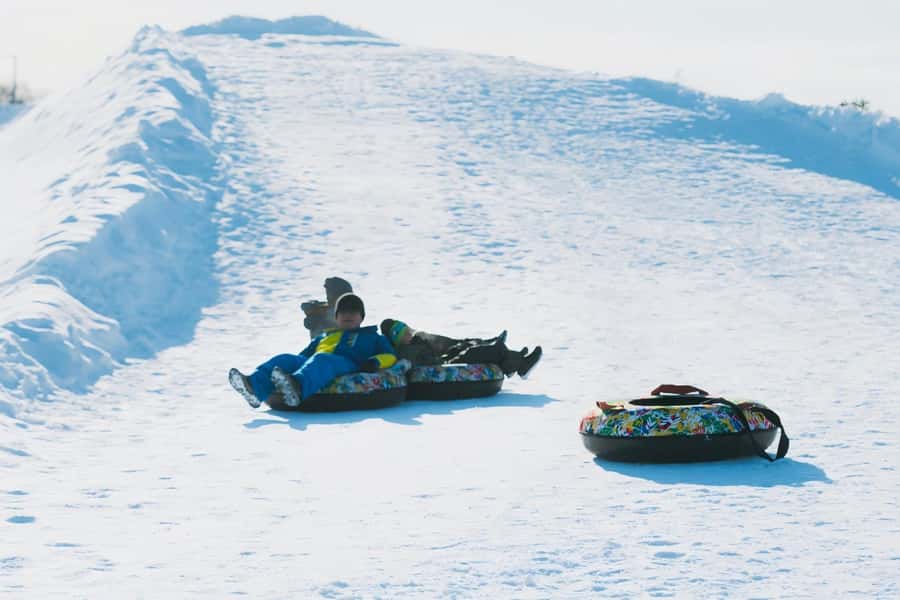 Hokkaido, Sappro, Otaru & Cape Kamui One-day Tour - Who This Tour Fits Best