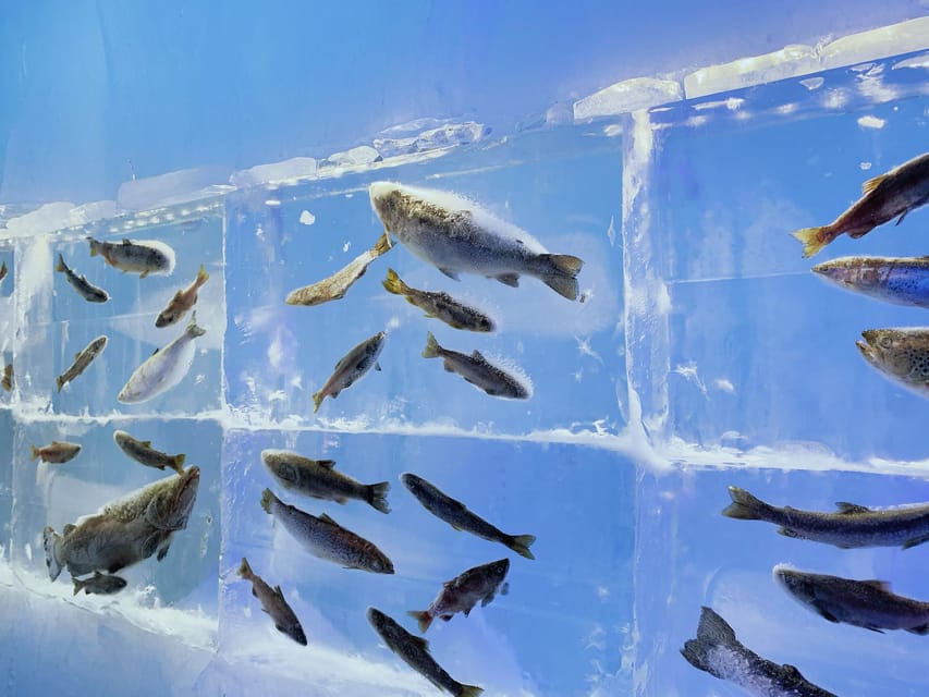 Hokkaido Tour:Sapporo to Noboribetsu, Lake Toya,Ice Festival - 氷濤 氷の美術館 and the Shikotsu Lake Ice Festival glow