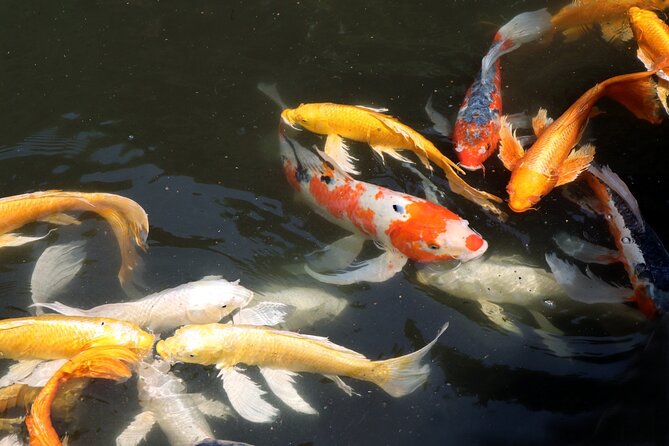 Imperial Palace East Garden and Edo Castle Walking Tour in Tokyo - Small-group size changes the whole experience