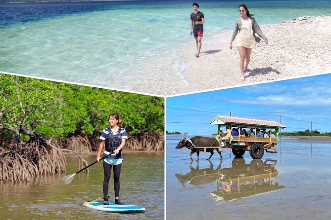 Iriomote 1 Day Mangrove SUP/Canoe, Barasu Island & Yubu Island - Weather, schedule changes, and what to pack so you feel calm