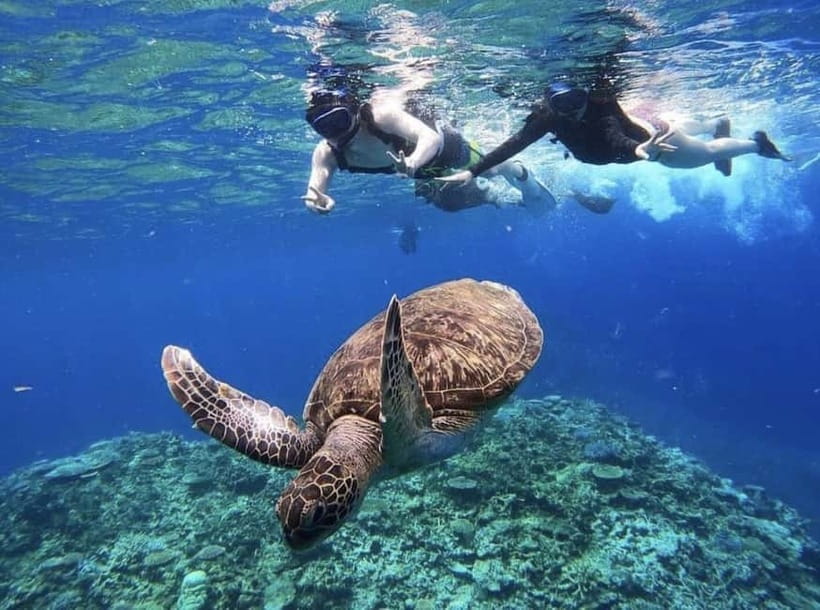 Iriomote: Boat Snorkeling Tour at Barasu Island - Beginner coaching that keeps you safe and relaxed