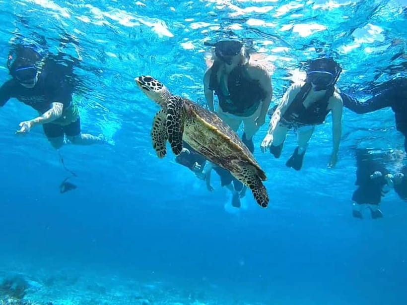 Iriomote: Boat Snorkeling Tour at Barasu Island - Languages, group flow, and the practical reality of staying with your guide