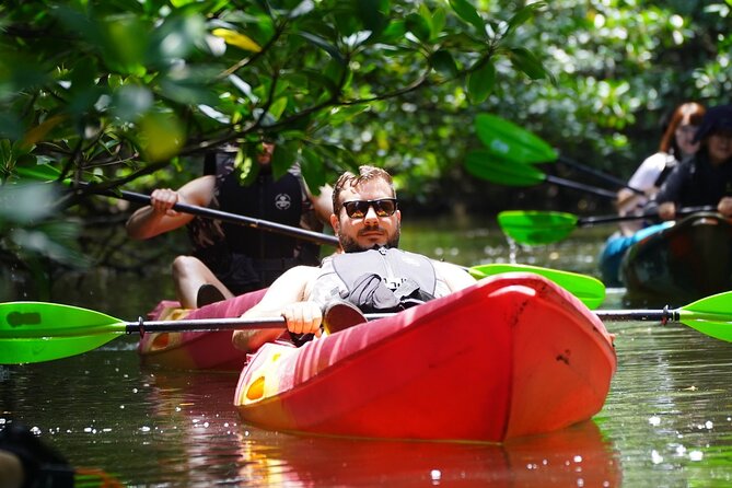 Iriomote Island 1-Day Snorkeling & Mangrove SUP or Canoe - Key Things I’d Plan Around