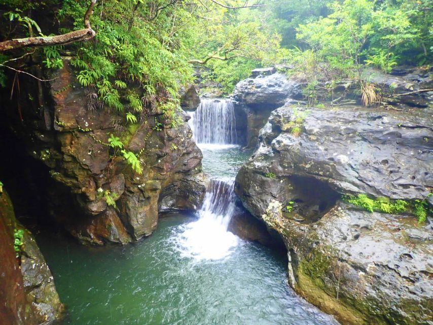 Iriomote Island: Guided 2-Hour Canyoning Tour - Ōmija River action: jumps, slides, and what safety feels like
