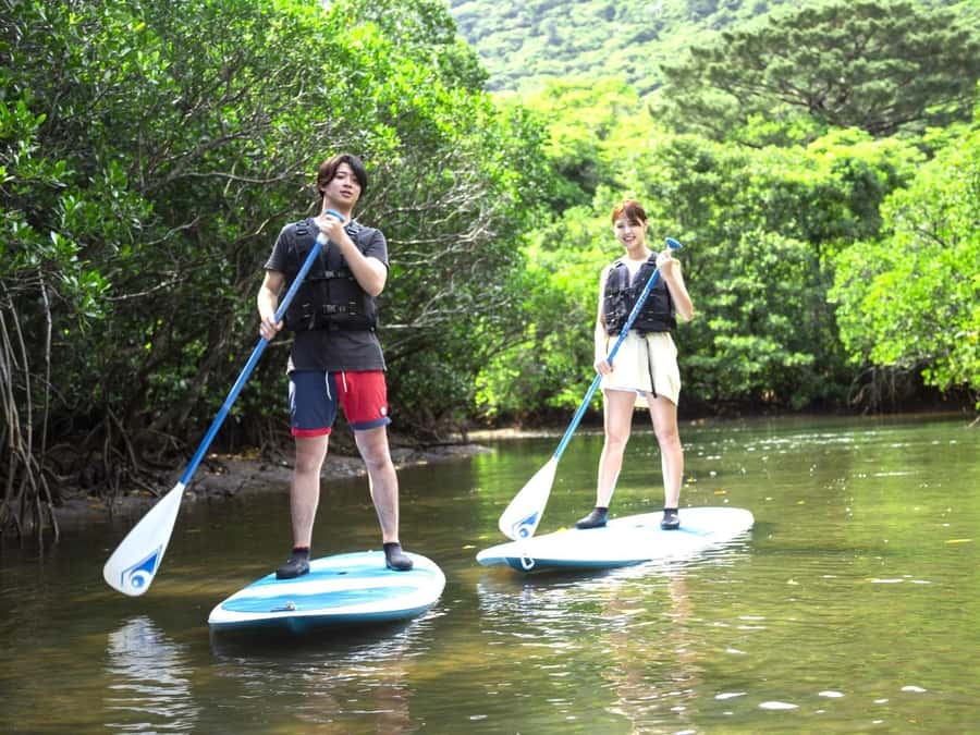 Iriomote island: Mangrove River SUP or Canoe Cruising Tour - Key moments that make this mangrove tour worth your time