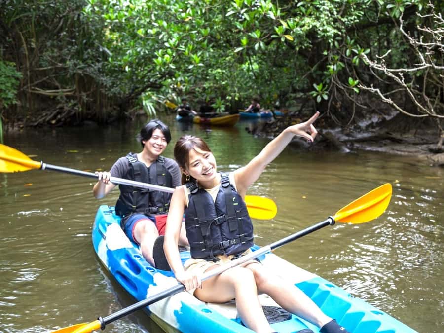 Iriomote island: Mangrove River SUP or Canoe Cruising Tour - Why Iriomote mangroves work so well for a short outing