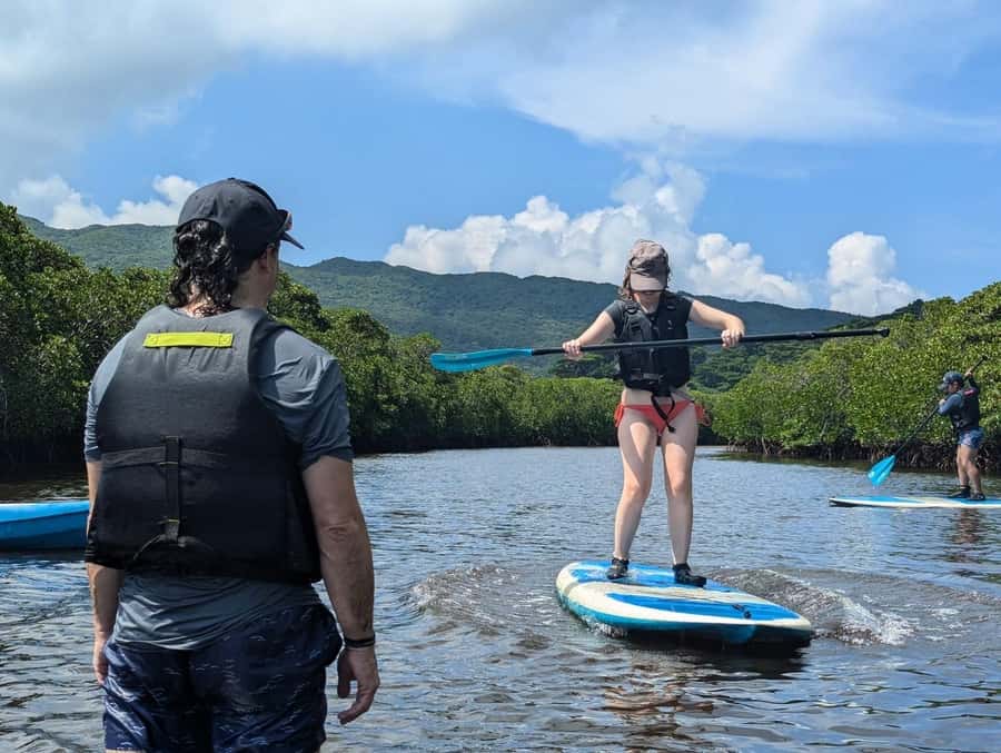 Iriomote island: Mangrove River SUP or Canoe Cruising Tour - 90 minutes on the water: canoeing and SUP in calm mangrove channels