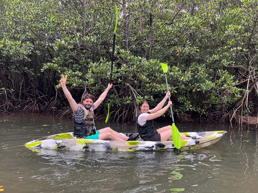 Iriomote island: Mangrove River SUP or Canoe Cruising Tour - Low tide trekking: the easiest way to see the mangroves up close