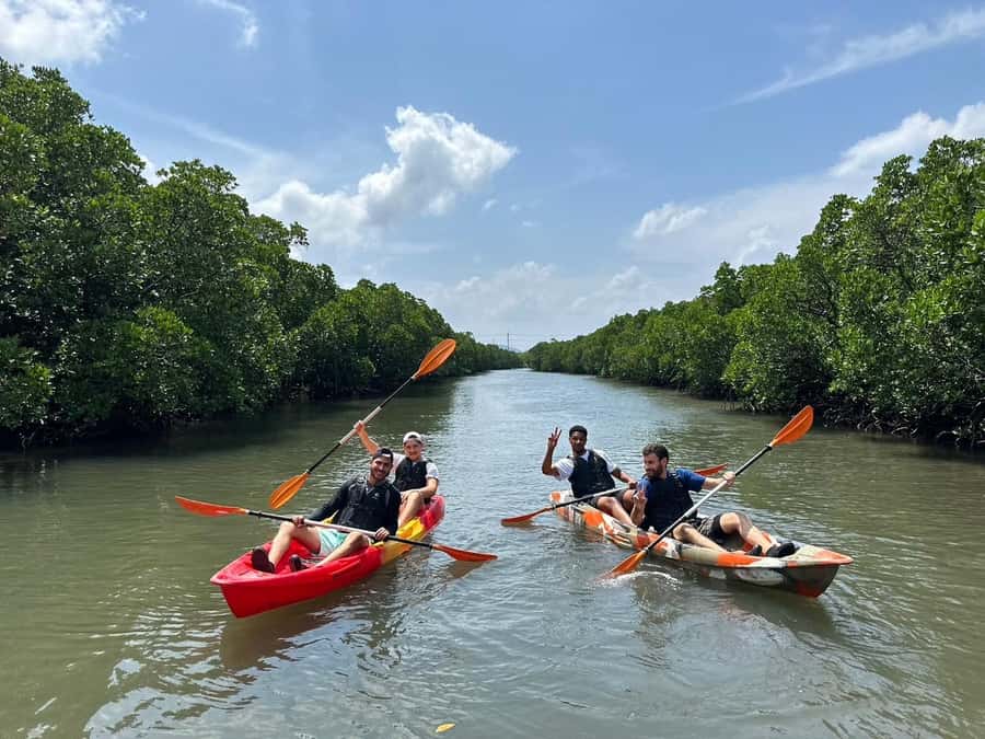 Iriomote island: Mangrove River SUP or Canoe Cruising Tour - Break time, photos, and why the guide matters