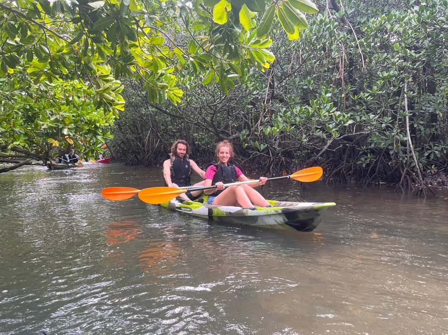 Iriomote island: Mangrove River SUP or Canoe Cruising Tour - Price and value: is $50 per person a good deal?