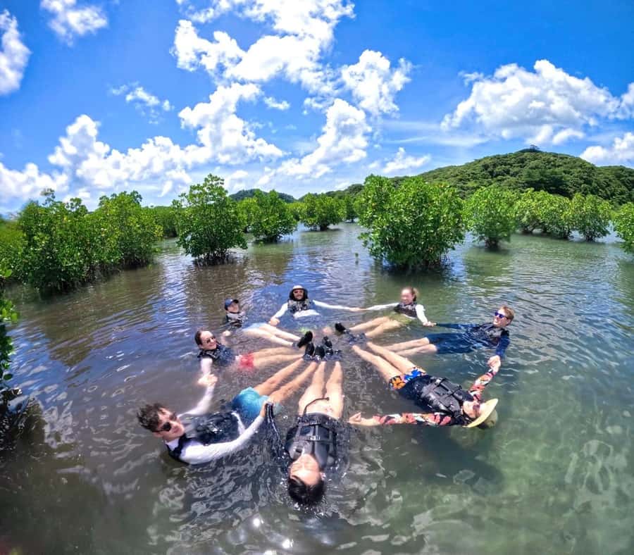 Iriomote island: Mangrove River SUP or Canoe Cruising Tour - Who should book it, and who should skip it