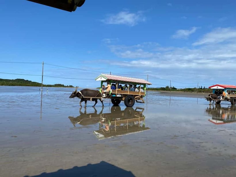 Iriomote: Mangrove SUP or Canoe and Yubujima sightseeing - Quick reasons this tour gets high marks