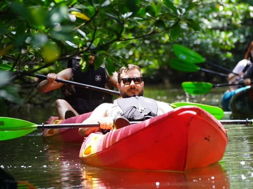 Iriomote: Mangrove SUP or Canoe and Yubujima sightseeing - Iriomote mangroves plus Yubujima, in one smooth day