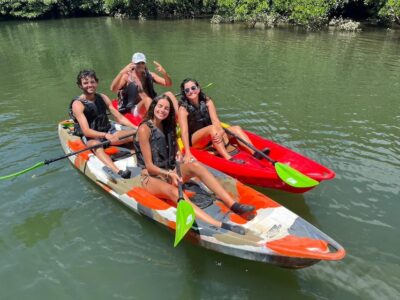 Iriomote: Mangrove SUP or Canoe and Yubujima sightseeing