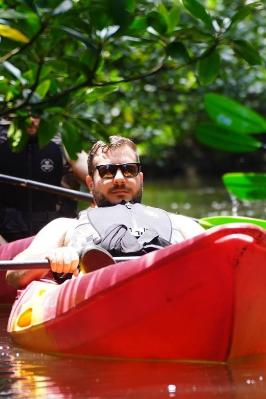 Iriomote: Mangrove SUP or Canoe and Yubujima sightseeing - The Yaeyama firefly lesson: small detail, big reason to go
