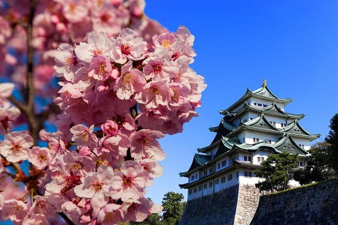 Ise’s Sacred Shrines and Captivating Coastlines - From Nagoya - Should you book this Ise Sacred Shrines and Coastlines tour?