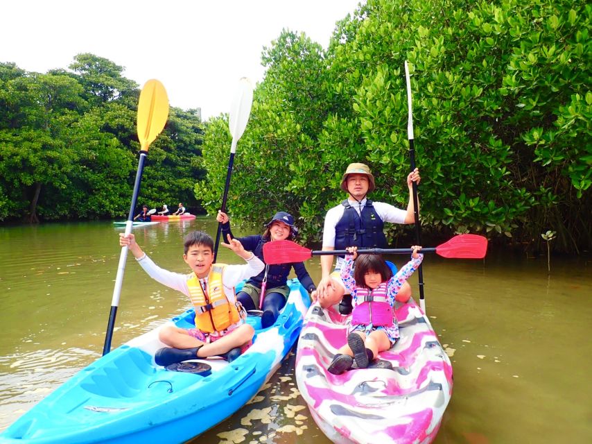 Ishigaki Island: 2-Hour Miyara River SUP or Canoeing Tour - Who Should Book This, and Who Might Want Another Plan