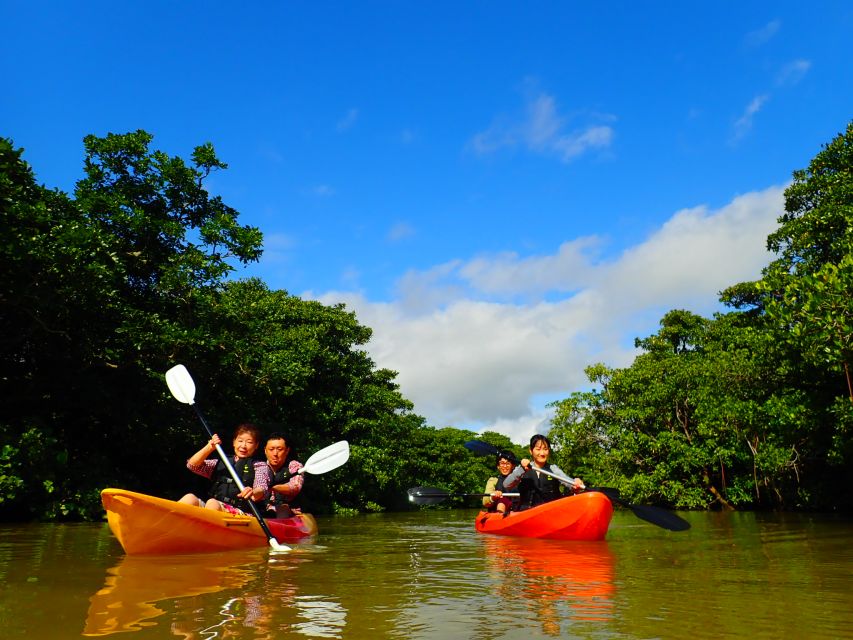 Ishigaki Island: 2-Hour Miyara River SUP or Canoeing Tour - Why Miyara River Mangroves Feel Worth the Time