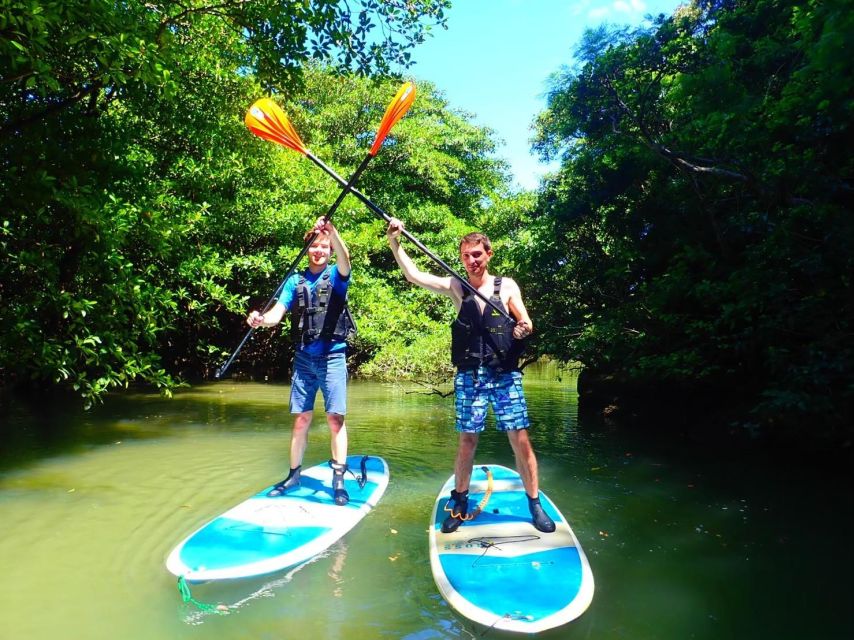 Ishigaki Island: 2-Hour Miyara River SUP or Canoeing Tour - What Happens During the 75 Minutes on the Miyara River