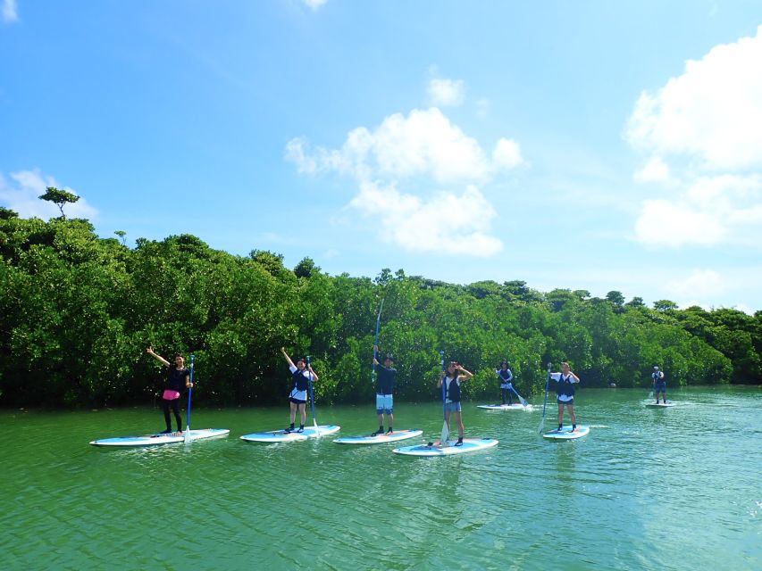 Ishigaki Island: 2-Hour Miyara River SUP or Canoeing Tour - Eco-friendly and Why the Mangroves Matter Beyond Photos