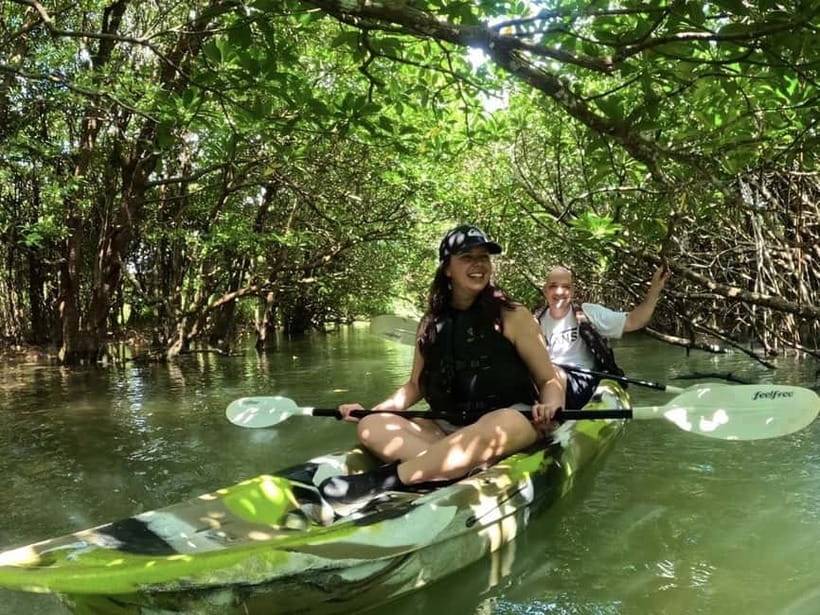 Ishigaki Island: 2-Hour Miyara River SUP or Canoeing Tour - Choosing SUP or Canoe, and How Easy It Really Is