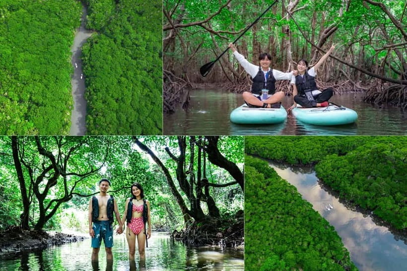 Ishigaki:Mangrove&Sea SUP/Kayak Tour with SLR&Drone footage - Drone Session and Aerial Composition, Plus DSLR Shooting on the Water