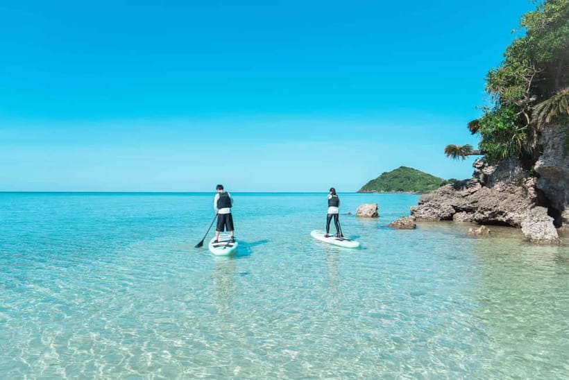 Ishigaki:Mangrove&Sea SUP/Kayak Tour with SLR&Drone footage - Photos and Videos in 3 Days, Delivered Where You Already Chat