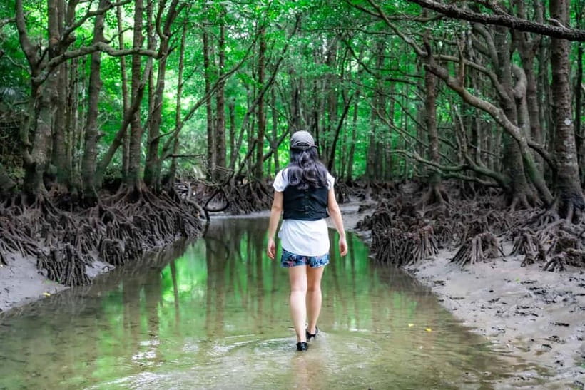 Ishigaki:Mangrove&Sea SUP/Kayak Tour with SLR&Drone footage - Should You Book This SUP and Drone Mangrove Tour?