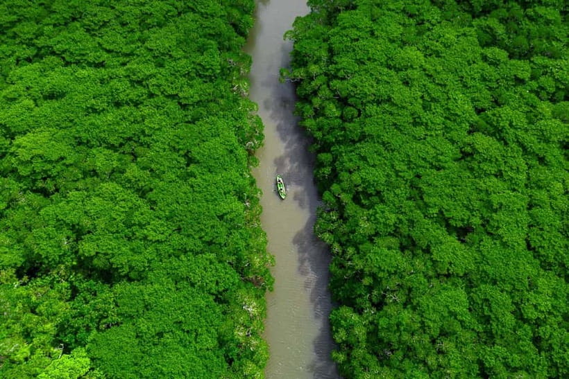 Ishigaki:Mangrove&Sea SUP/Kayak Tour with SLR&Drone footage - FAQ