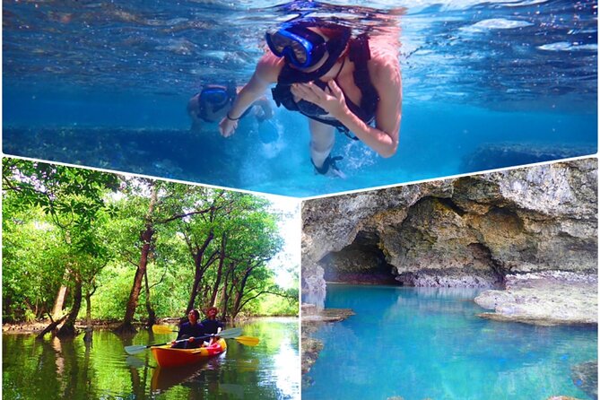 [Ishigaki]Mangrove SUP/Canoe + Blue Cave Snorkeling - Key things to know before you go