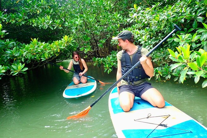 [Ishigaki]Mangrove SUP/Canoe + Blue Cave Snorkeling - Miyara River mangroves and Blue Cave snorkeling, the value of doing both