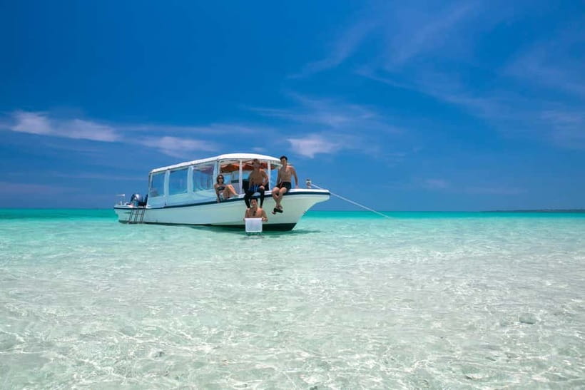 Ishigaki: Mangrove SUP or Canoe & Phantom Island Snorkeling - Key things I’d target on this tour