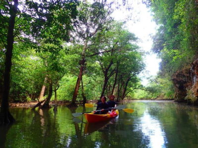Ishigaki: Mangrove SUP or Canoe & Phantom Island Snorkeling