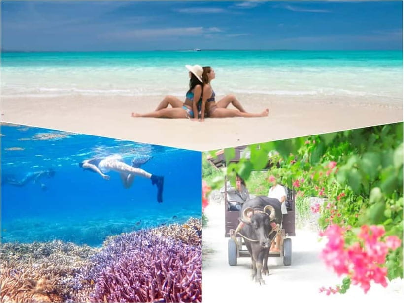 Ishigaki: Phantom Island Snorkeling and Taketomi Sightseeing - The Waterproof Camera Photos: How to Get More Than Just a Memory
