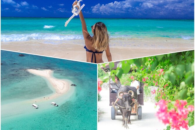 Ishigaki Phantom Island Snorkeling Taketomi Island Sightseeing - Key highlights you should know before you go