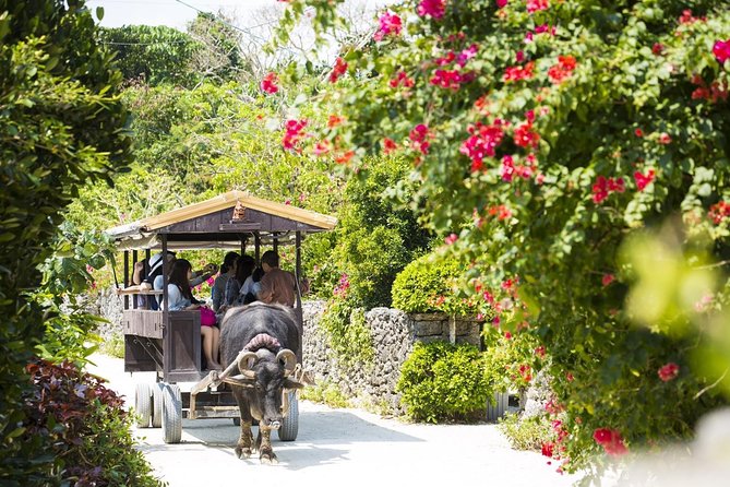 Ishigaki Phantom Island Snorkeling Taketomi Island Sightseeing - Value check: what you pay for and what might cost extra