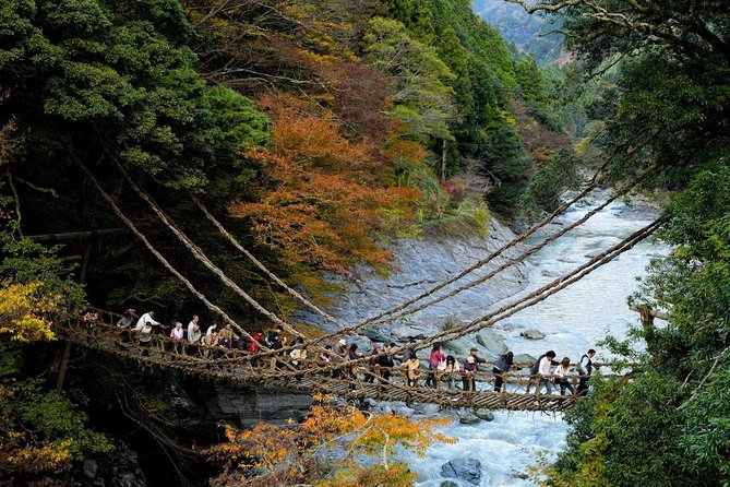 Iya Valley All Must-Sees Private Chauffeur Full-day Tour with a Driver - Iya Kazura Bridge: a rare vine-bridge survival story