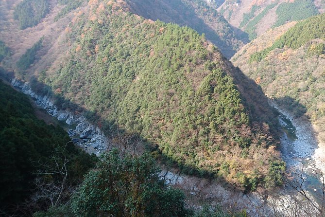 Iya Valley BROMPTON Slow Cycling Tour - Iyakei Valley cycling, long views with a gentle downhill feel