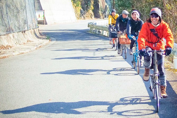 Iya Valley BROMPTON Slow Cycling Tour - Smooth organization, maintained bikes, and guides who set the tone