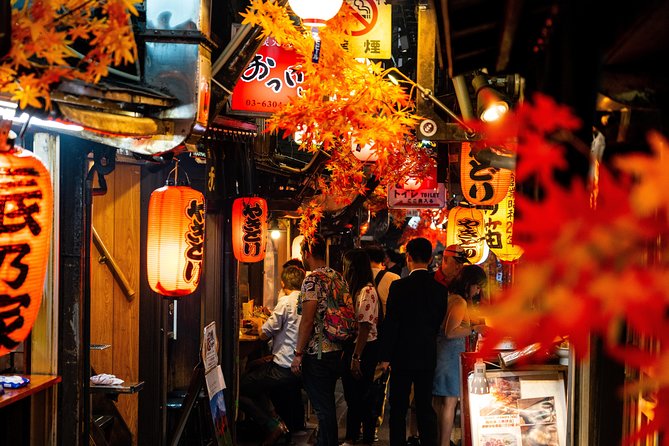 Japan Classic 10 Day - One Life Adventures - Hakone by Romance Car: ropeway views and Lake Ashi timing