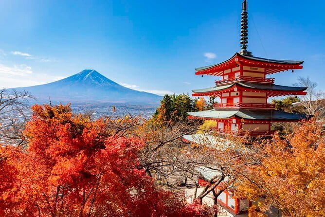 Japan's Best Mount Fuji Tour - Meet at Kogakuin University in Shinjuku, then head out on time