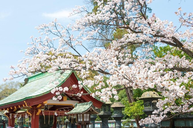 Japanese Food Experience Night Tour in Ueno - Key reasons this Ueno Japanese food night tour works