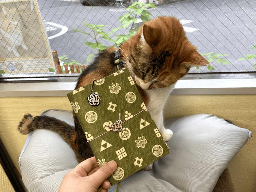 Japanese paper Notebook and Mizuhiki Belt Bookmark Workshop - Picking your washi paper: the part that makes your notebook truly yours