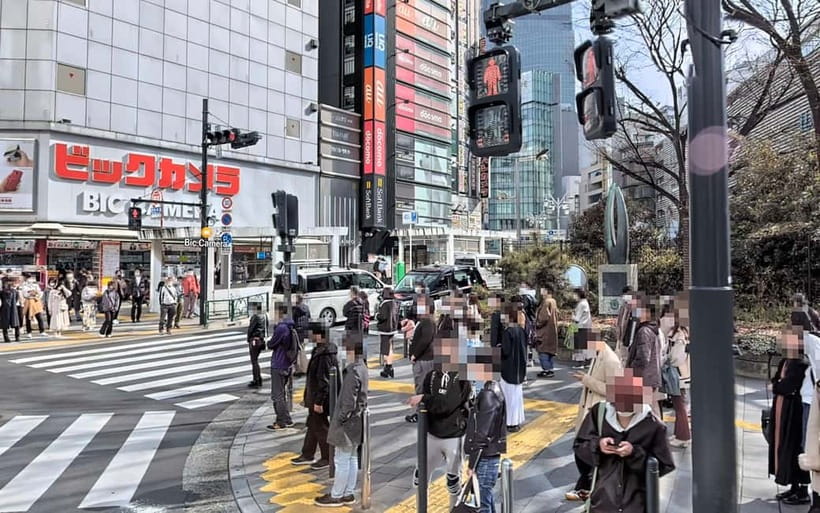 Kabukicho Macabre Tour - the Real Tokyo Vice - Key Things to Know Before You Go