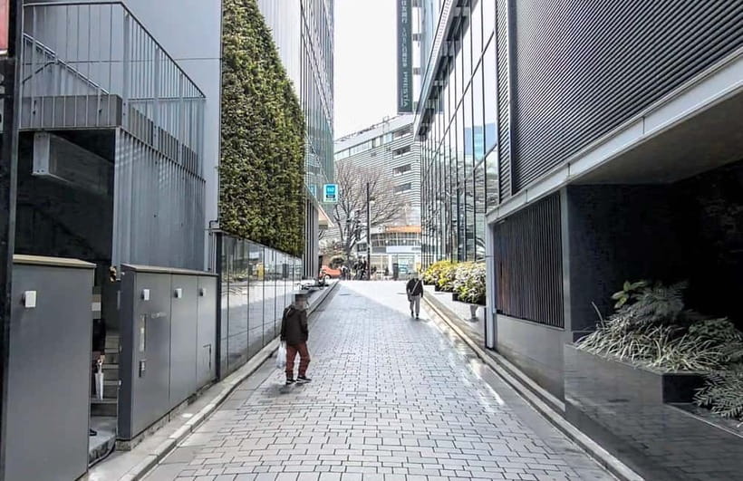 Kabukicho Macabre Tour - the Real Tokyo Vice - The Heart of the Route: Red Light District History You Can Actually Picture