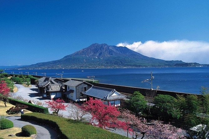 Kagoshima Full-Day Private Tour with Government-Licensed Guide - Key things I would bet on for your day