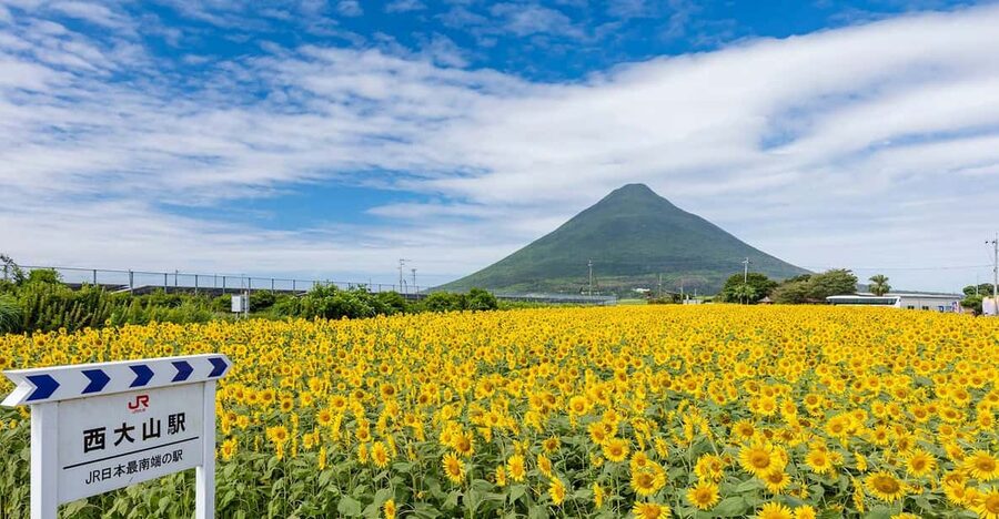Kagoshima: Ibusuki City and Mount Kaimon Dake Tour - Shopping Windows: Small Time, Useful Souvenirs