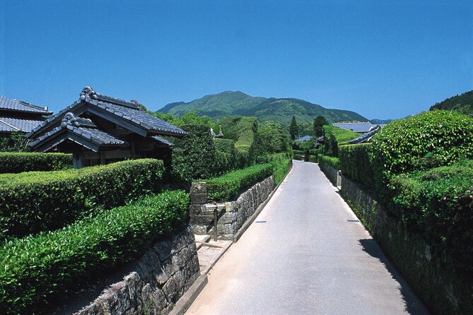 Kagoshima Private & Custom Tour with Licensed Guide and Vehicle - Price and value for 6 hours of custom touring