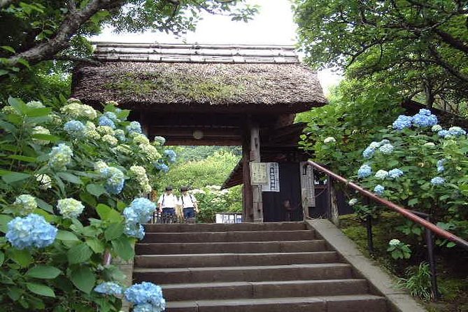 Kamakura 8 hr Private Walking Tour with Licensed Guide from Tokyo - Tsurugaoka Hachimangu Shrine, Then Komachi Street Treats