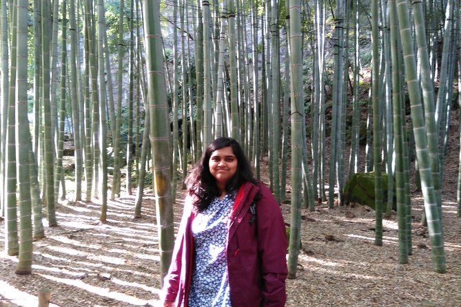 Kamakura 8 hr Private Walking Tour with Licensed Guide from Tokyo - Hasedera Temple and the ocean viewpoint you will remember